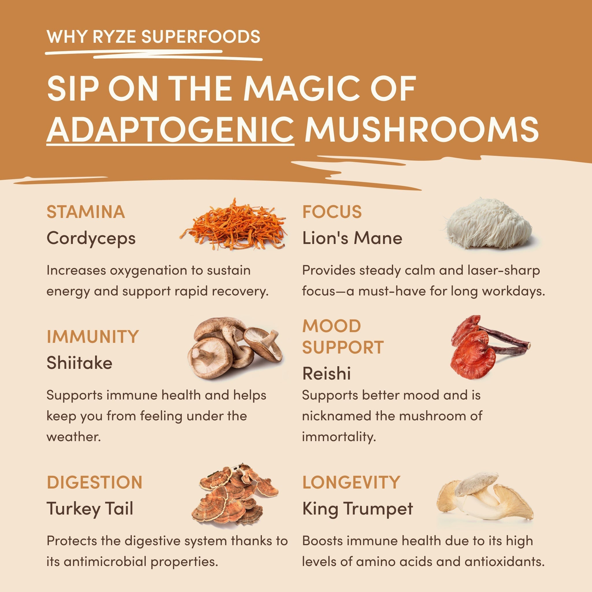 Mushroom Overnight Oats (14 Servings) - Gentle Energy