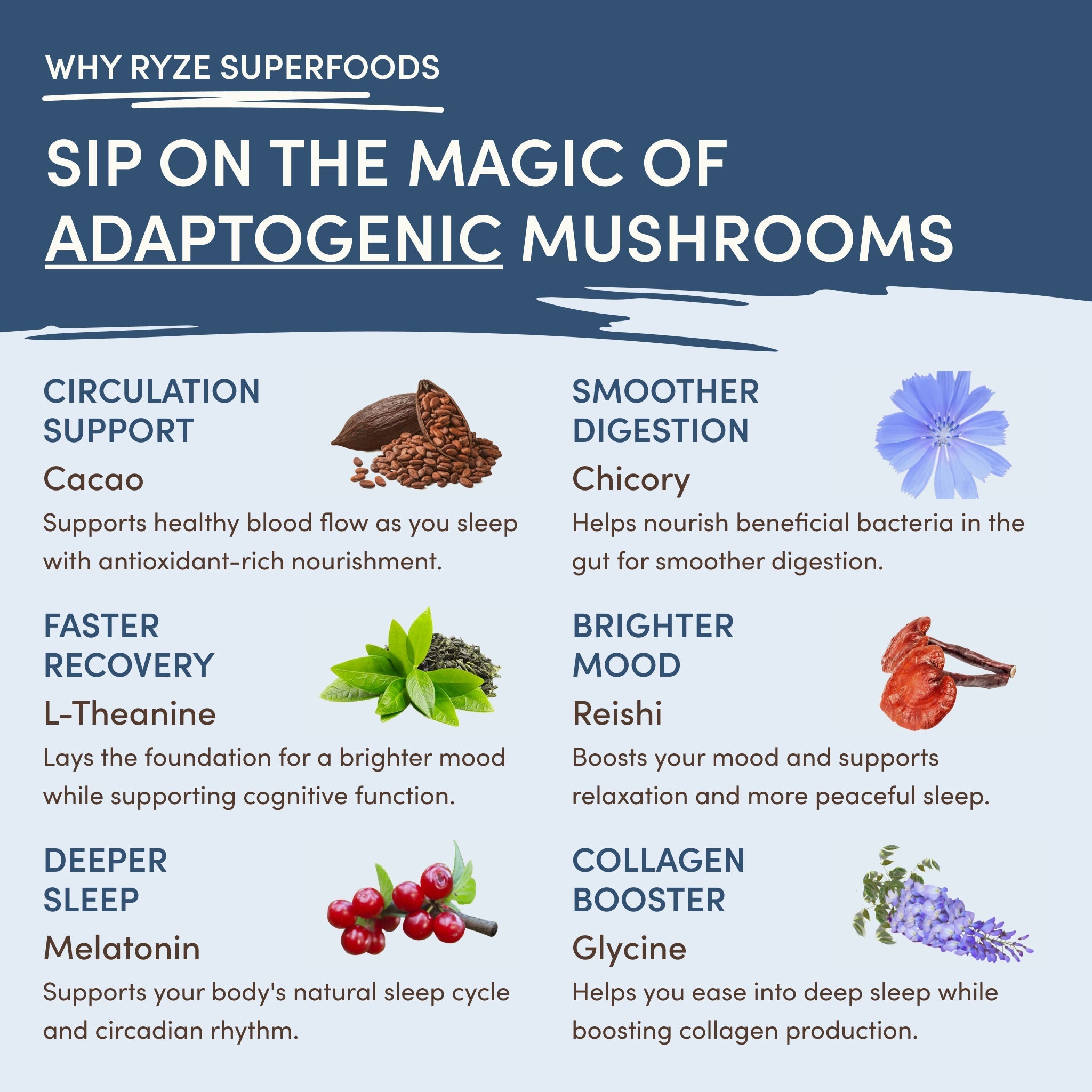 Mushroom Hot Cocoa (20 servings) - Feel Good Coffee