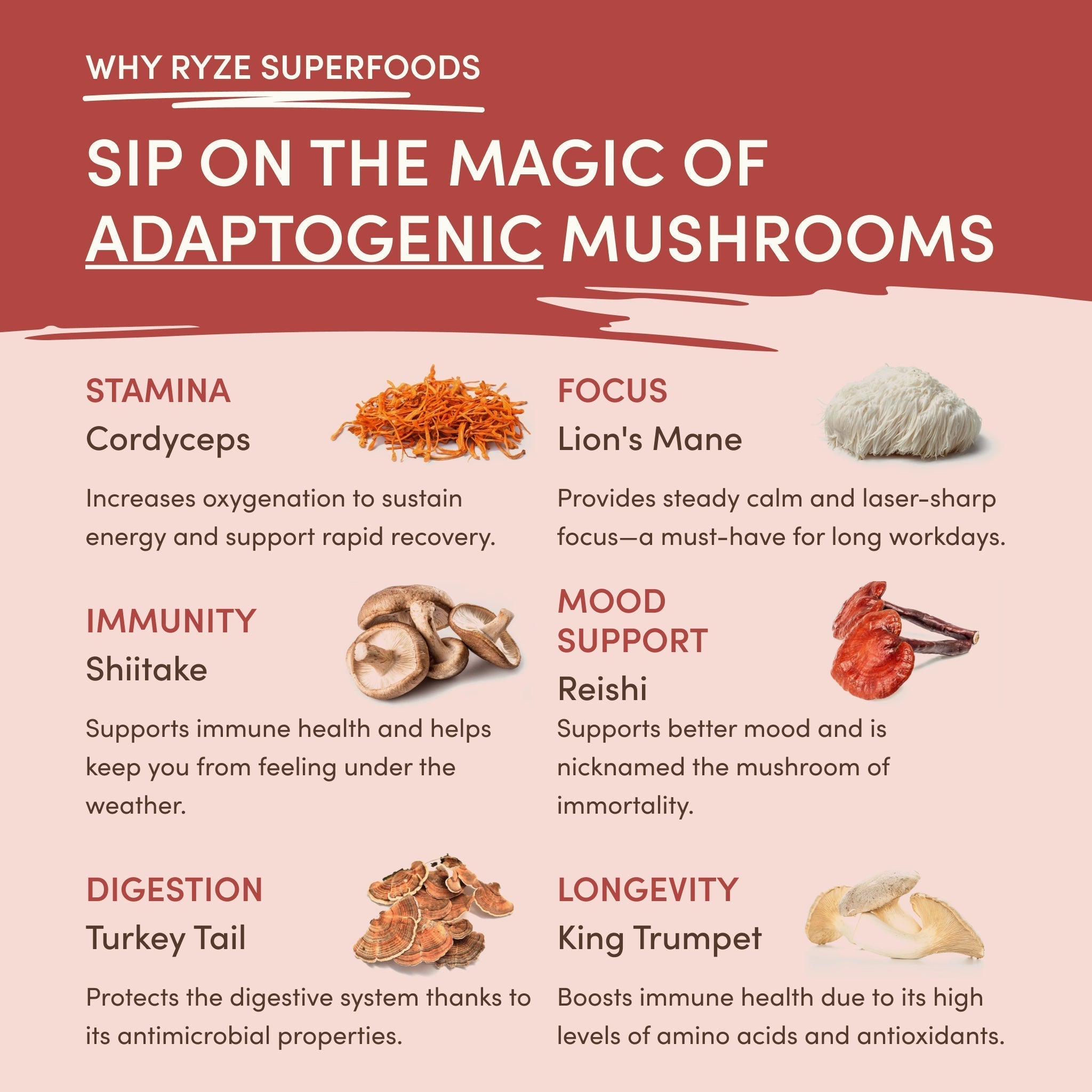Mushroom Chai (20 Servings) - Smart Coffee
