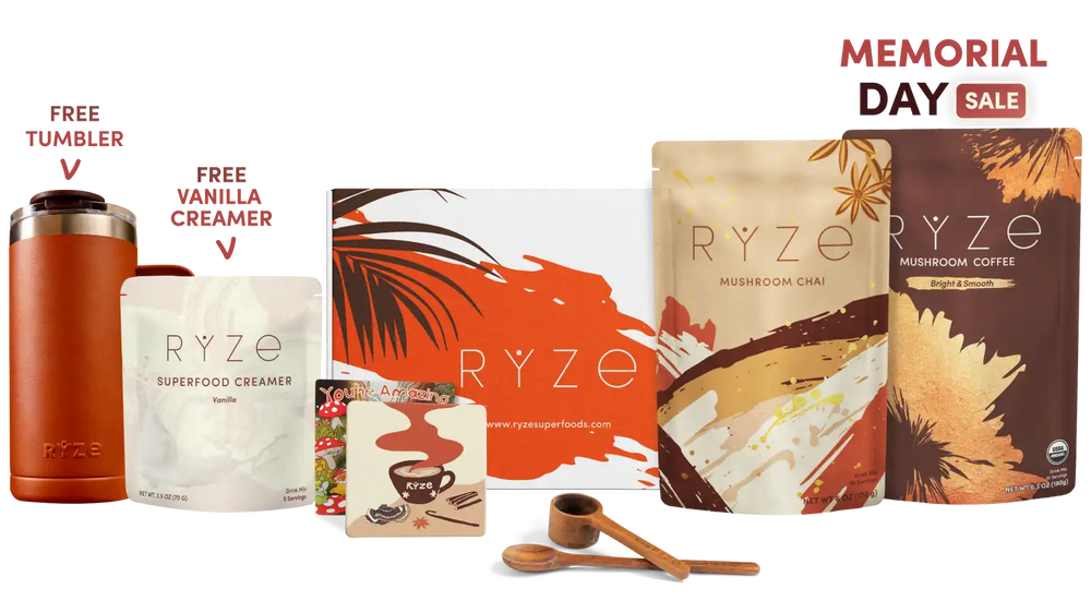 Boosted Chai Latte Bundle (Chai + Coffee) - Workday Focus