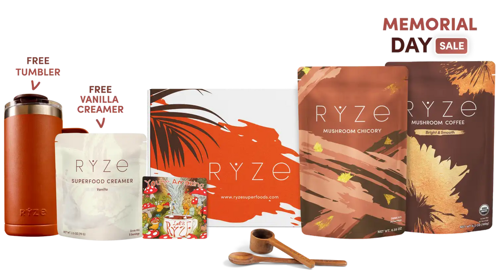 Lasting Energy Bundle (Chicory + Coffee) - Functional Coffee