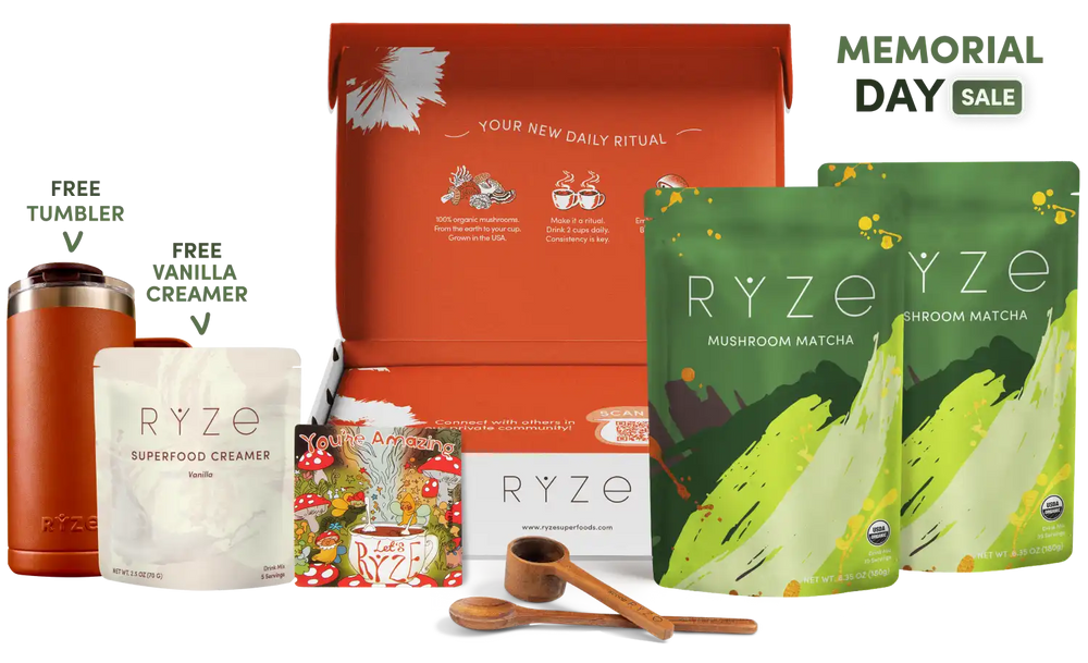 Mushroom Matcha Starter Kit (60 Servings) - Mushroom Blend