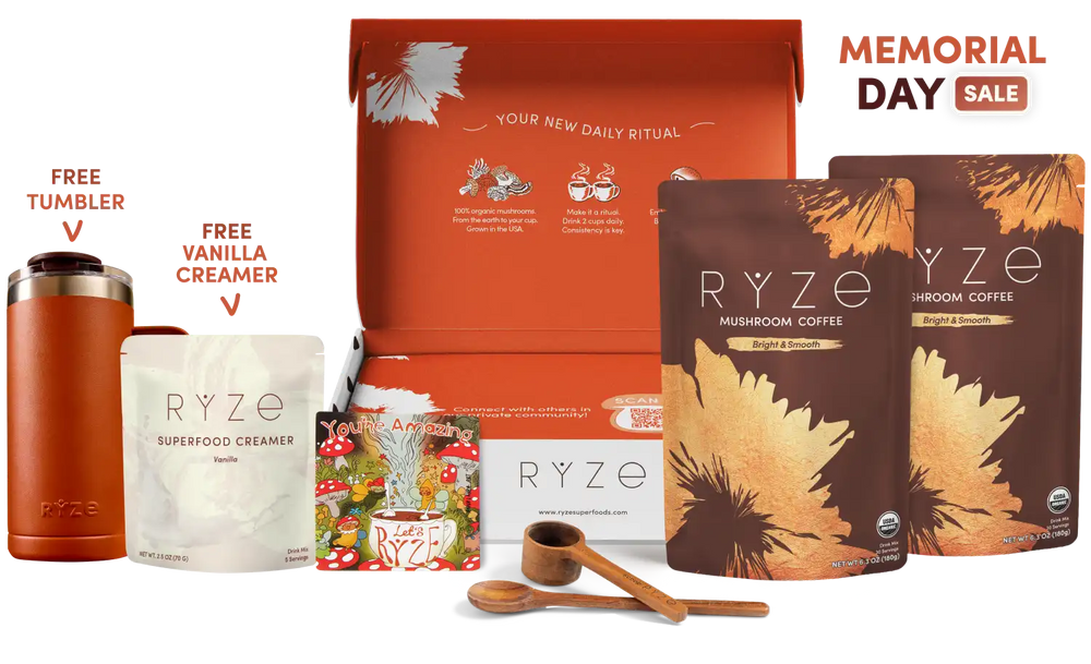 Mushroom Coffee Starter Kit (60 servings) - Morning Fuel